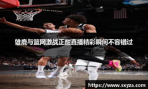 雄鹿与篮网激战正酣直播精彩瞬间不容错过