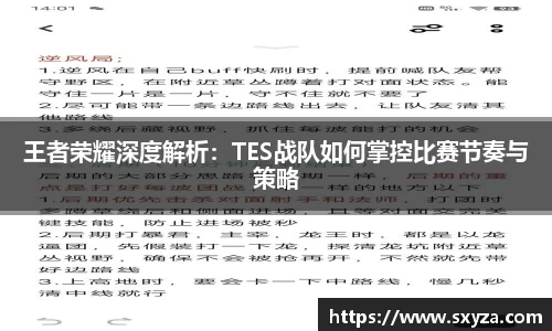 王者荣耀深度解析：TES战队如何掌控比赛节奏与策略