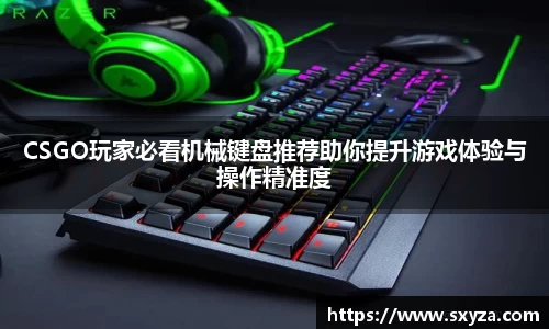 77体育直播官网