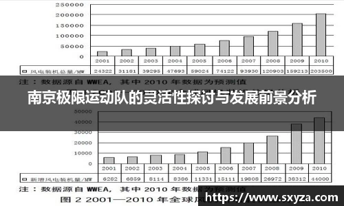 南京极限运动队的灵活性探讨与发展前景分析