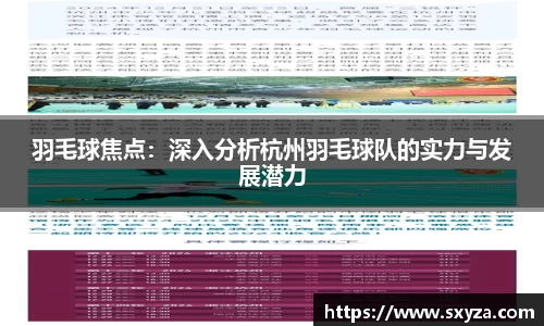 羽毛球焦点：深入分析杭州羽毛球队的实力与发展潜力