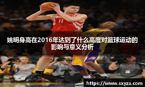姚明身高在2016年达到了什么高度对篮球运动的影响与意义分析