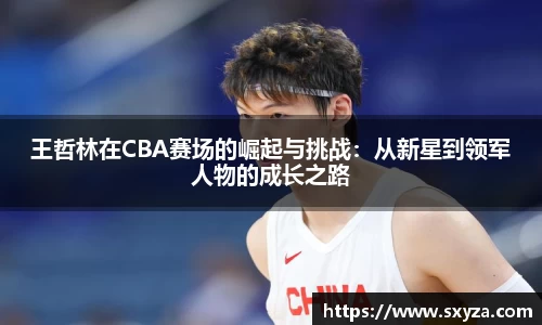 王哲林在CBA赛场的崛起与挑战：从新星到领军人物的成长之路